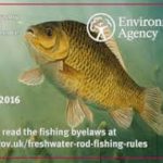 Buy a rod licence online
